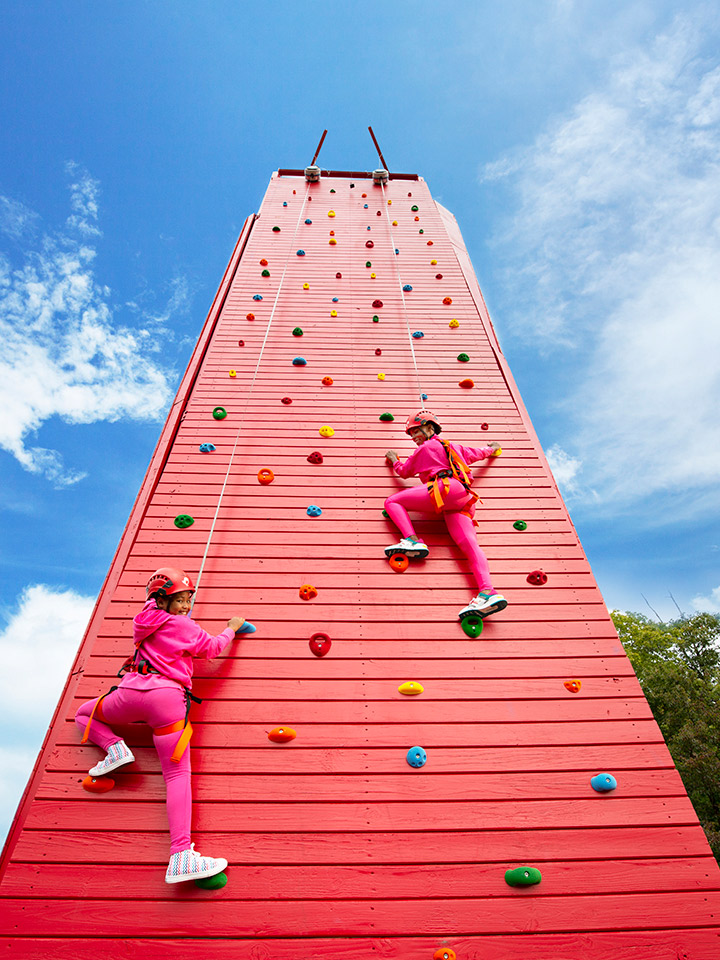 two people in pink climbing up a red rock climbing wall