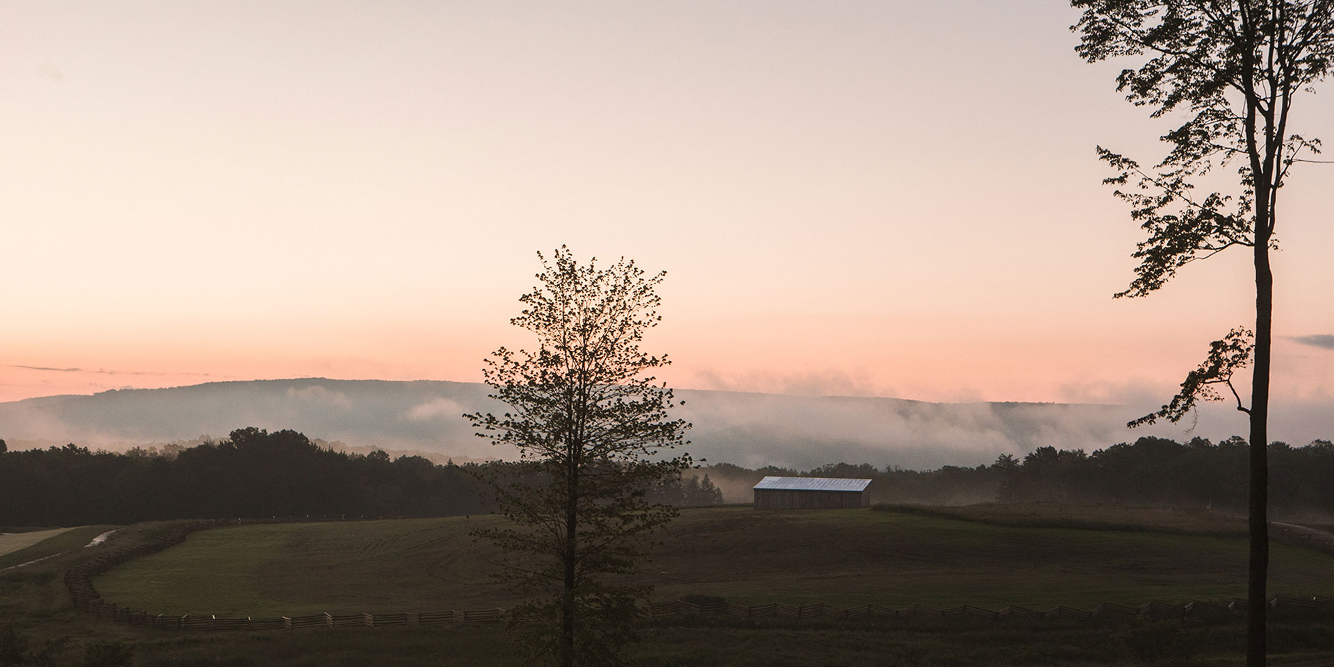 landscape view of trees and grass and mountains with fog