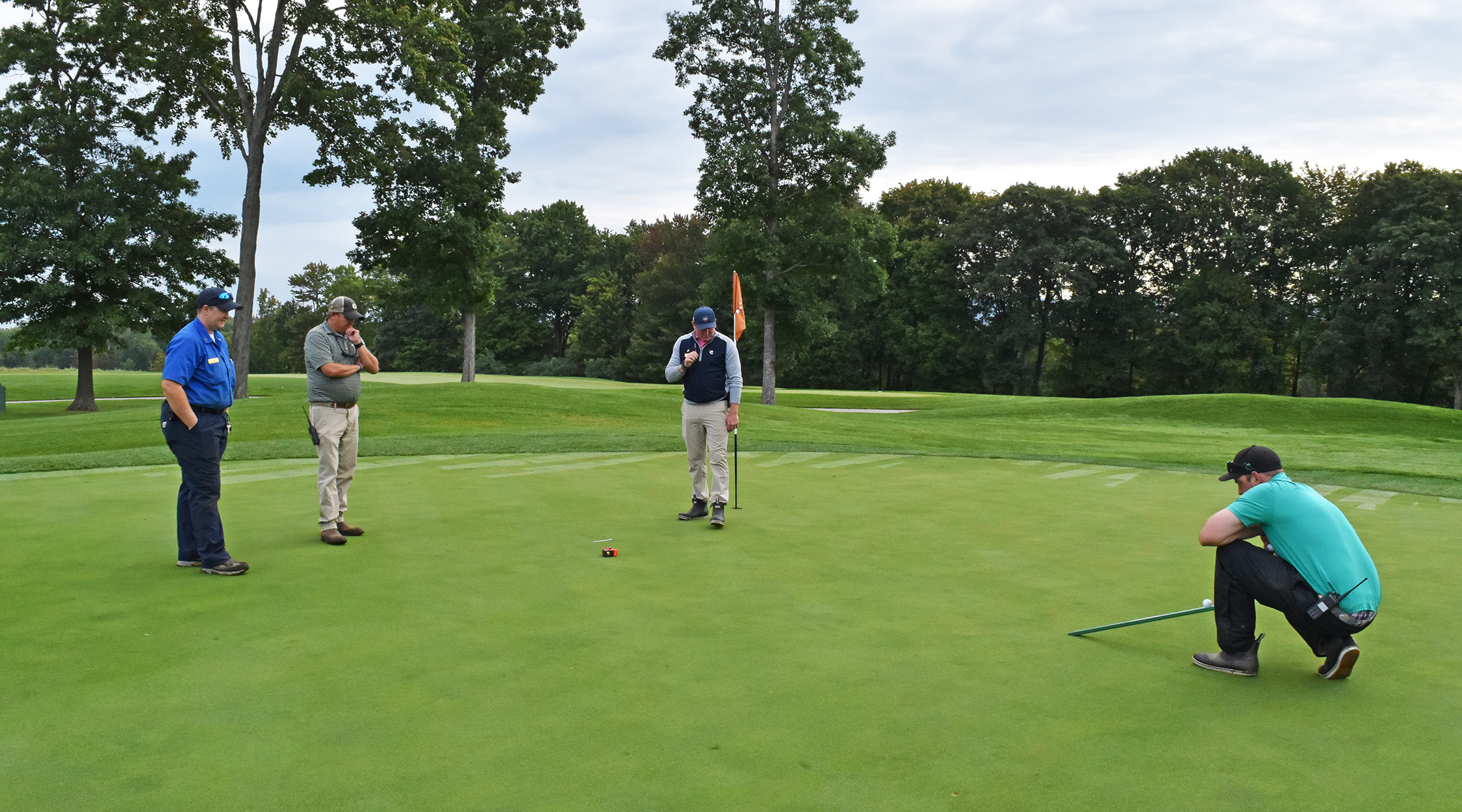 Turf grass staff