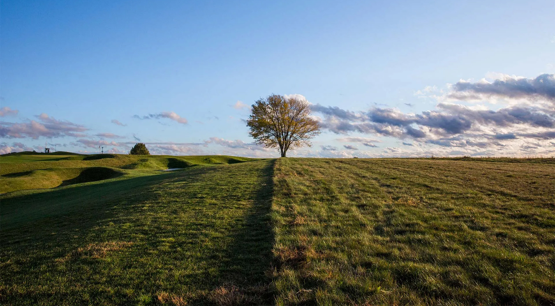 A Lone Tree - Best Places to Propose