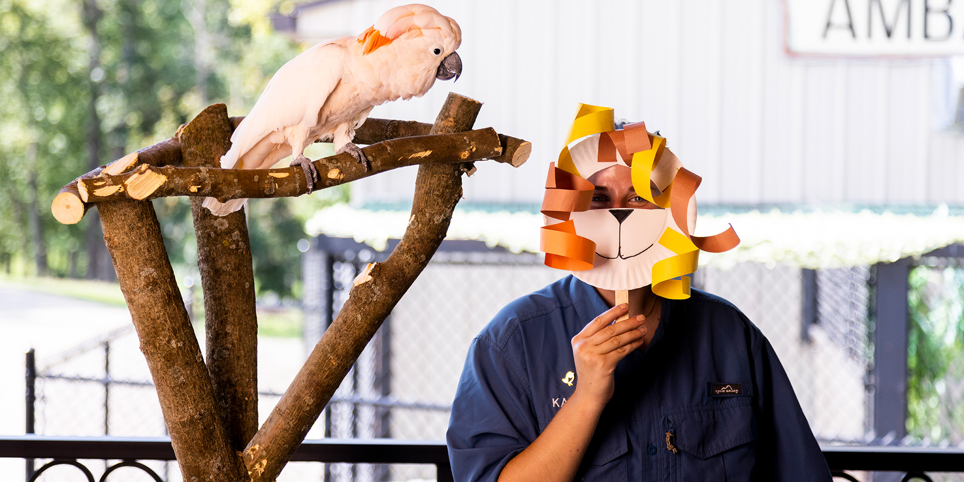 Zoo crews and crafts at Nemacolin with a pink parrot on a branch beside a person covering his face with a hand-made lion mask