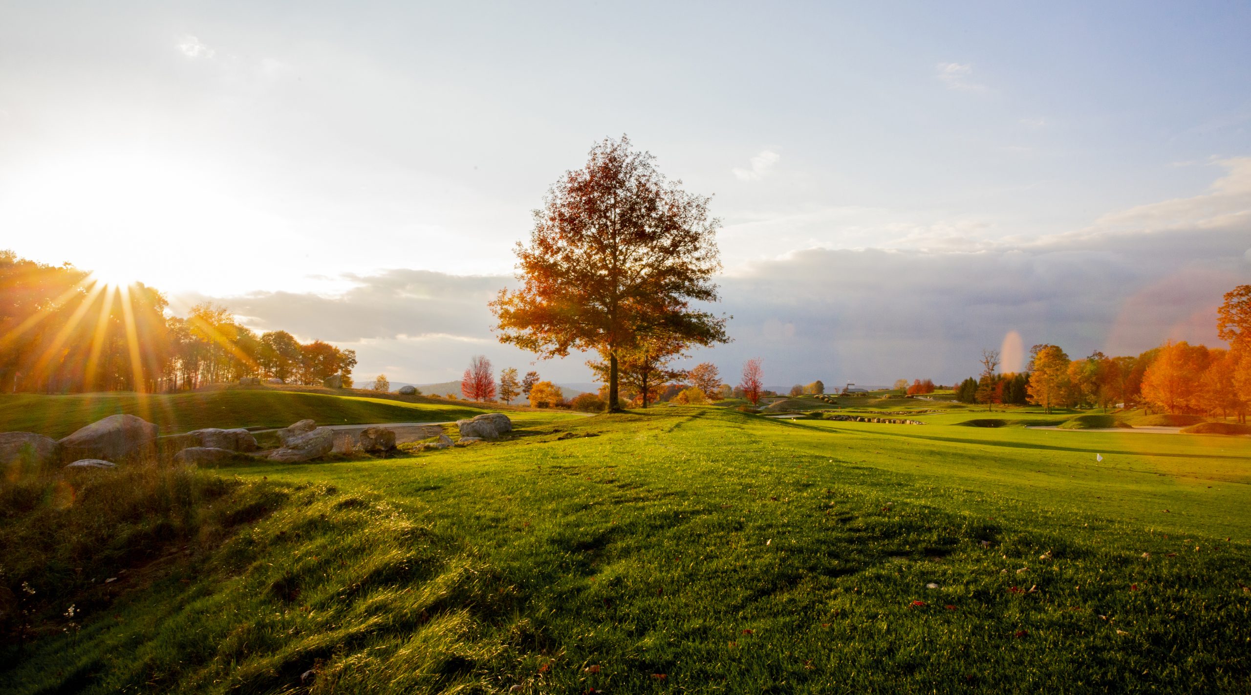 Fall sunrise scenery at Nemacolin of a tree with a foggy mist in the background