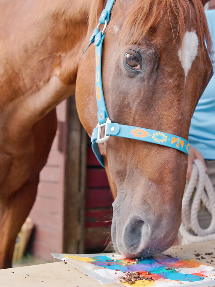 horse painting