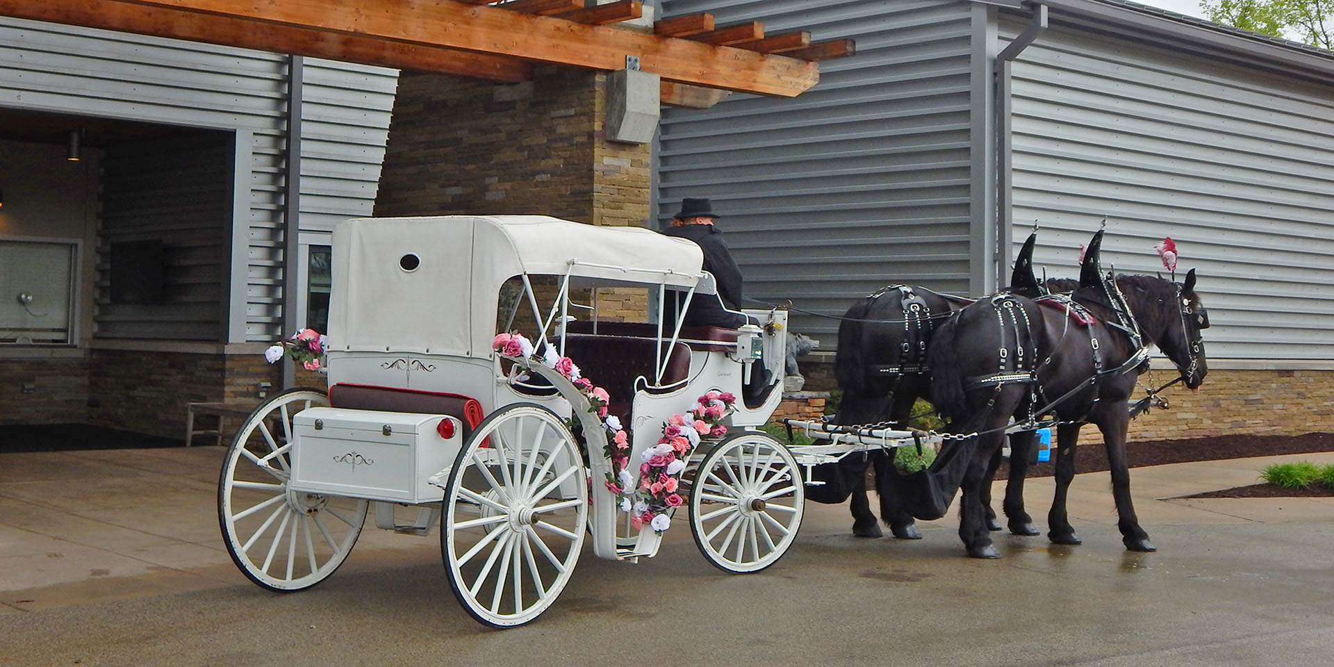 horses pulling a carriage