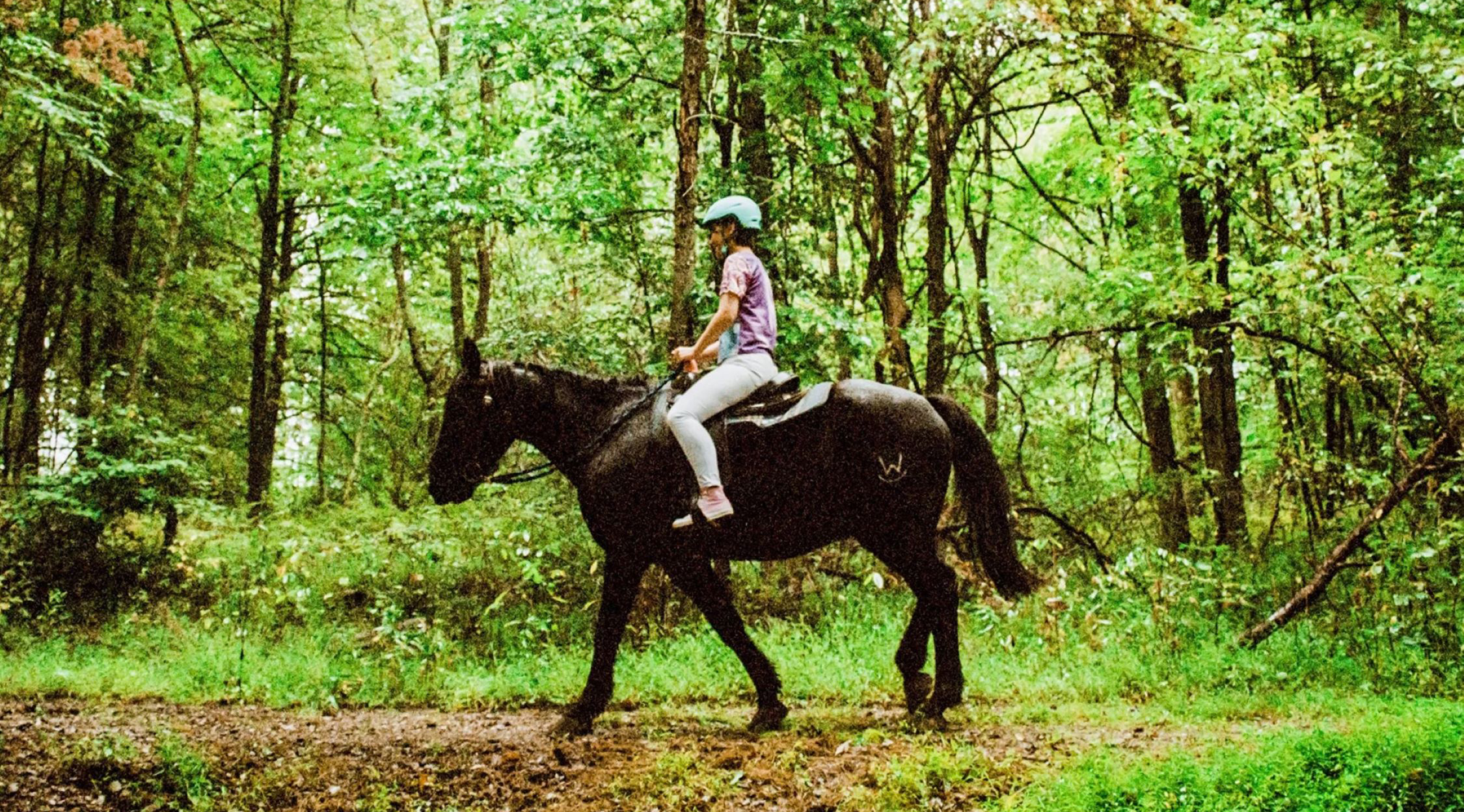 A woman wearing a blue helmet, pink shirt and white pants riding a black horse walking a wooded trail